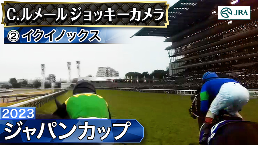 ����T���l�C��