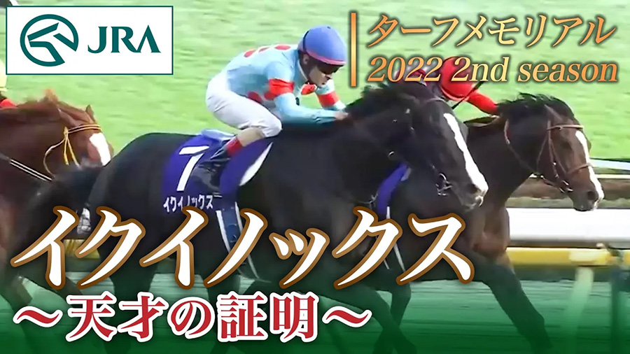 ����T���l�C��