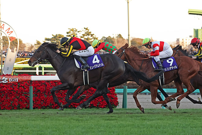 ミュージアムマイル