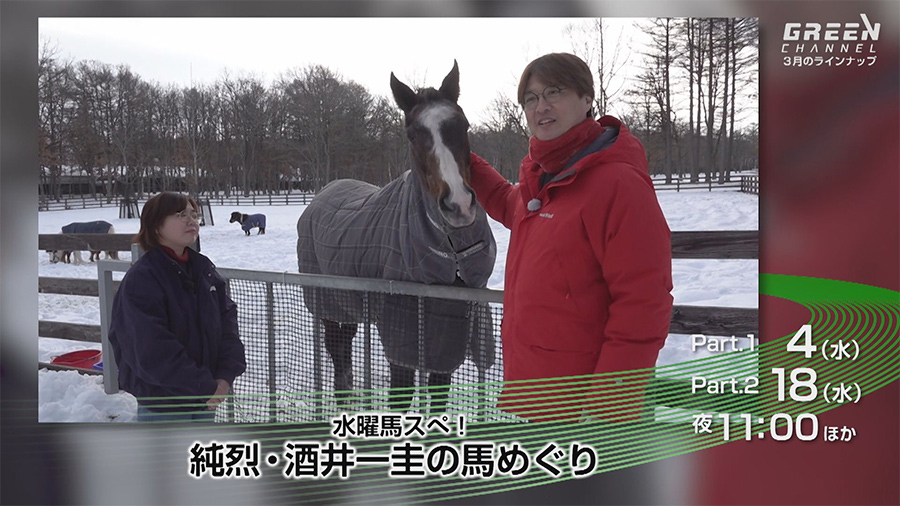 �������e�C���[�W 