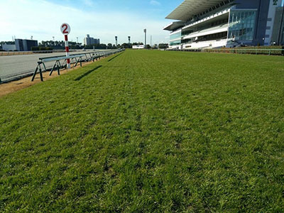 ���ʒ���