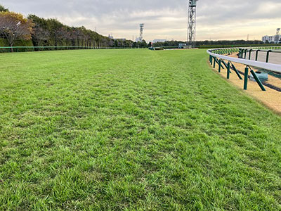 �����3�R�[�i�[