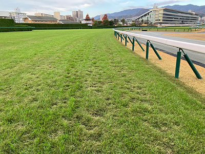 �O���4�R�[�i�[