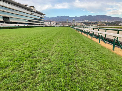 ���ʒ���