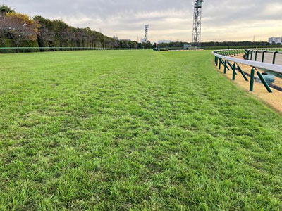 �����3�R�[�i�[