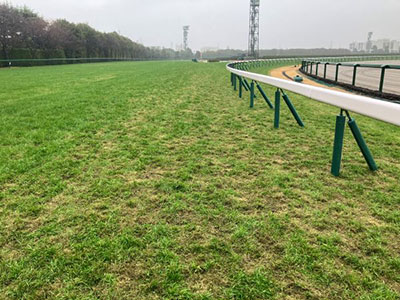 �����3�R�[�i�[