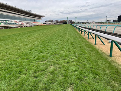 ���ʒ���