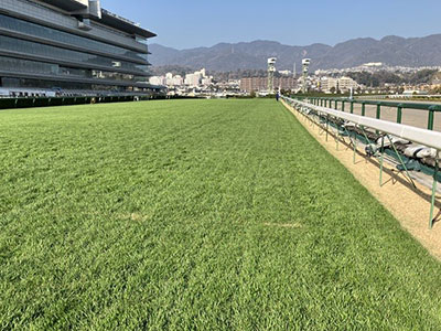 ���ʒ���