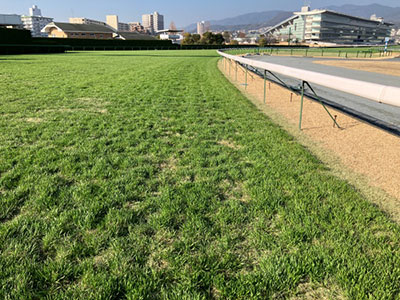 �O���4�R�[�i�[