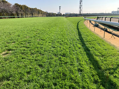 �����3�R�[�i�[