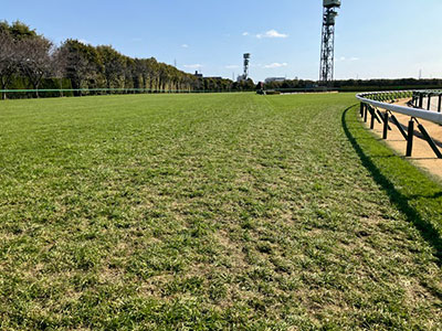 �����3�R�[�i�[