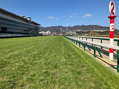 ���ʒ���