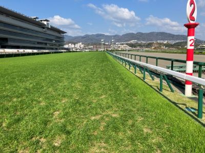 ���ʒ���