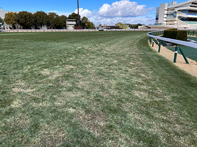 �O���4�R�[�i�[