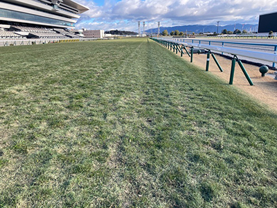 ���ʒ���