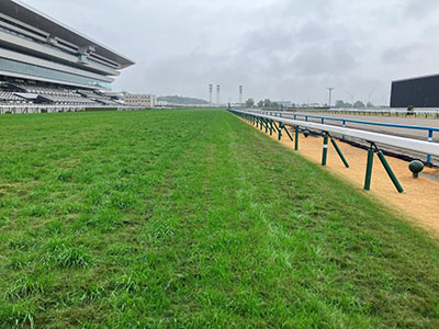 ���ʒ���