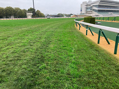 �O���4�R�[�i�[