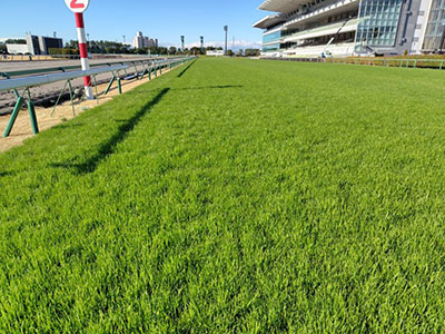 ���ʒ���