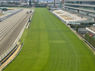 ���ʒ����i1�R�[�i�[�^���[���j