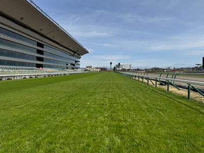 ���ʒ���