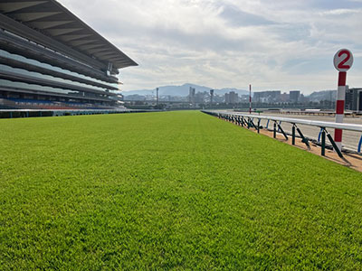 ���ʒ���