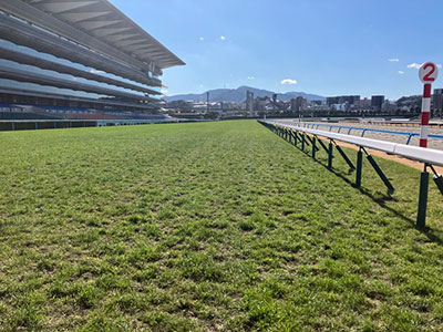 ���ʒ���