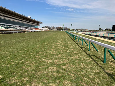 ���ʒ���