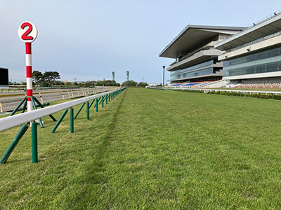 ���ʒ���