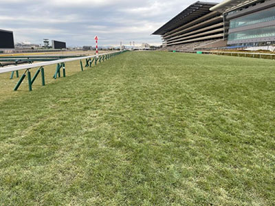 ���ʒ���