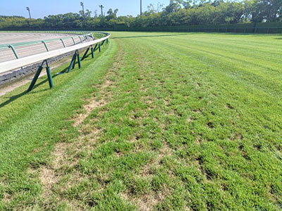 3�R�[�i�[