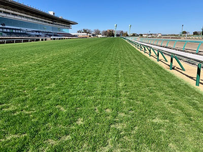 ���ʒ���