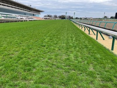 ���ʒ���