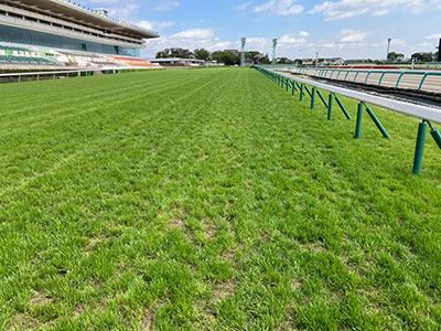 ���ʒ���