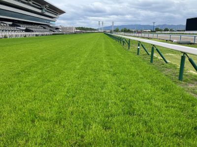 ���ʒ���