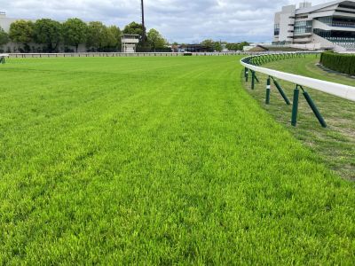 �O���4�R�[�i�[