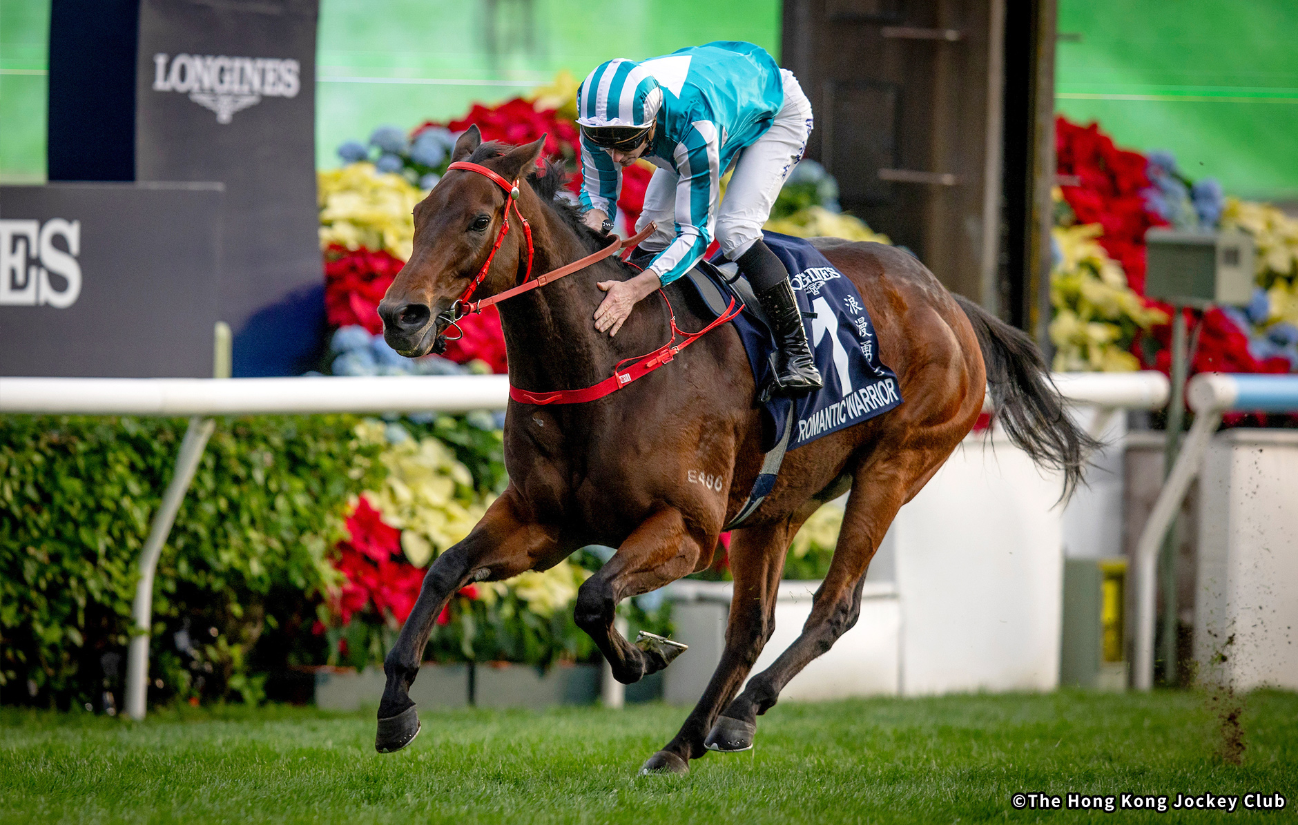 ���`�J�b�v�@�C���[�W