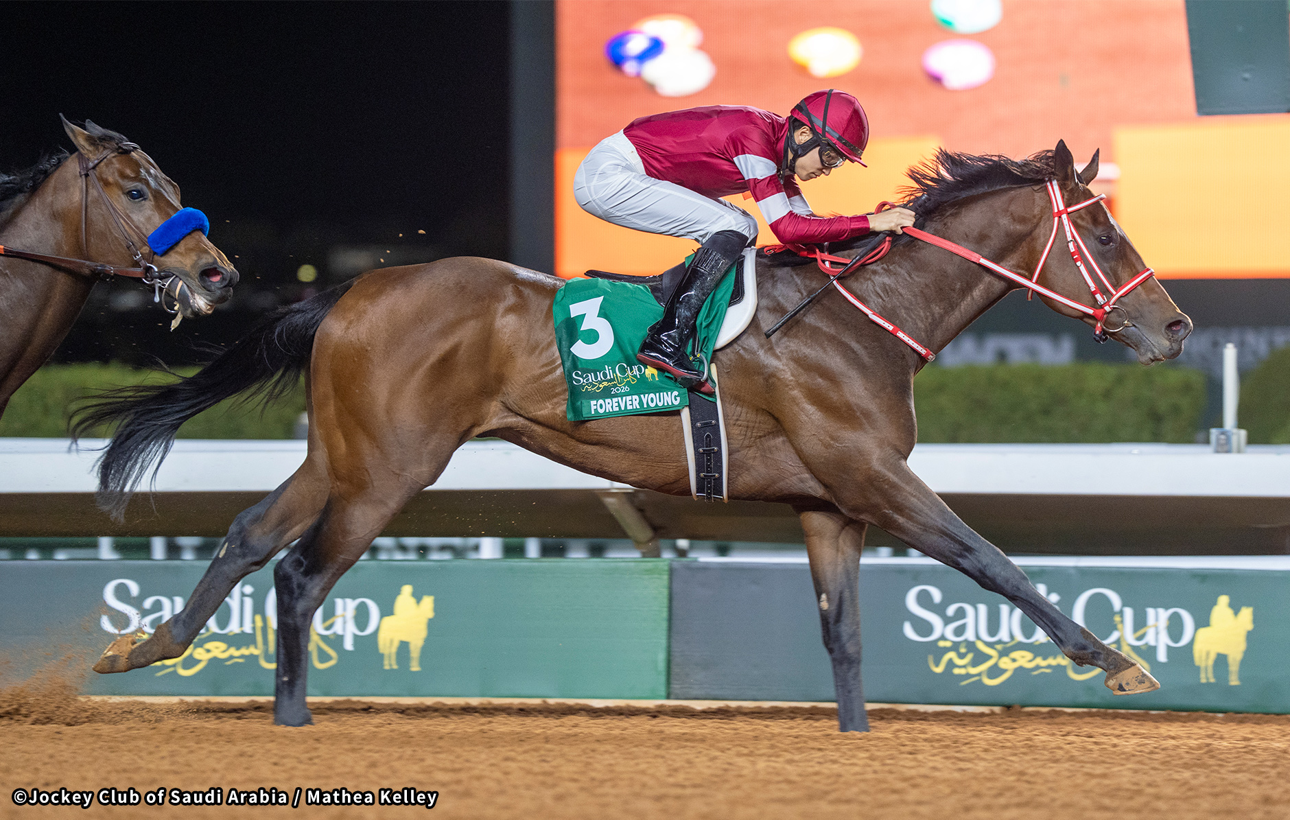 �T�E�W�J�b�v�@�C���[�W