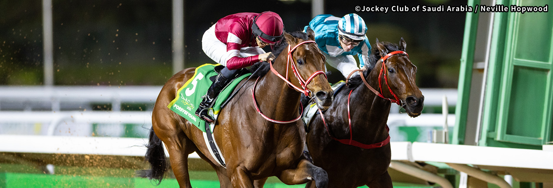 �T�E�W�J�b�v �C���[�W