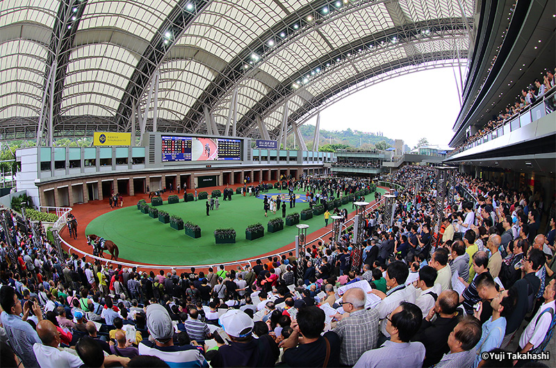 香港競馬イメージ写真2