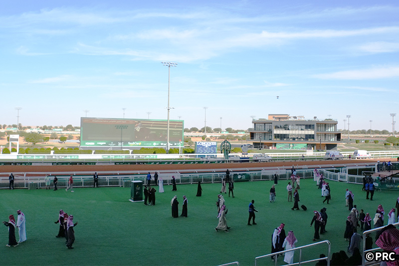 サウジアラビア競馬イメージ写真2