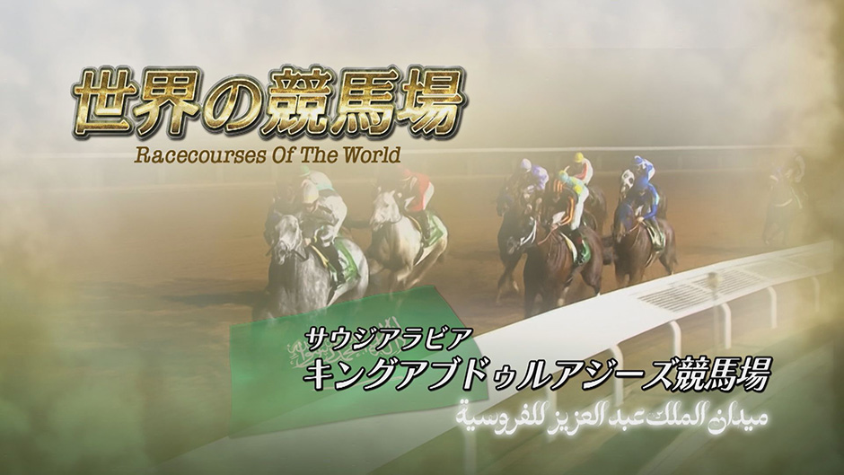 �L���O�A�u�h�D���A�W�[�Y���n��@�Љ�[�r�[