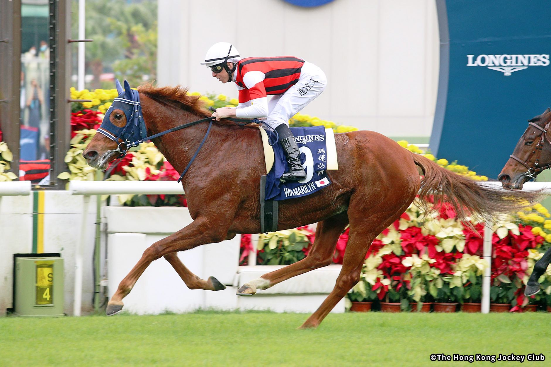 中央競馬 2015年～2019年 レースデータ Excelファイル アウトレット