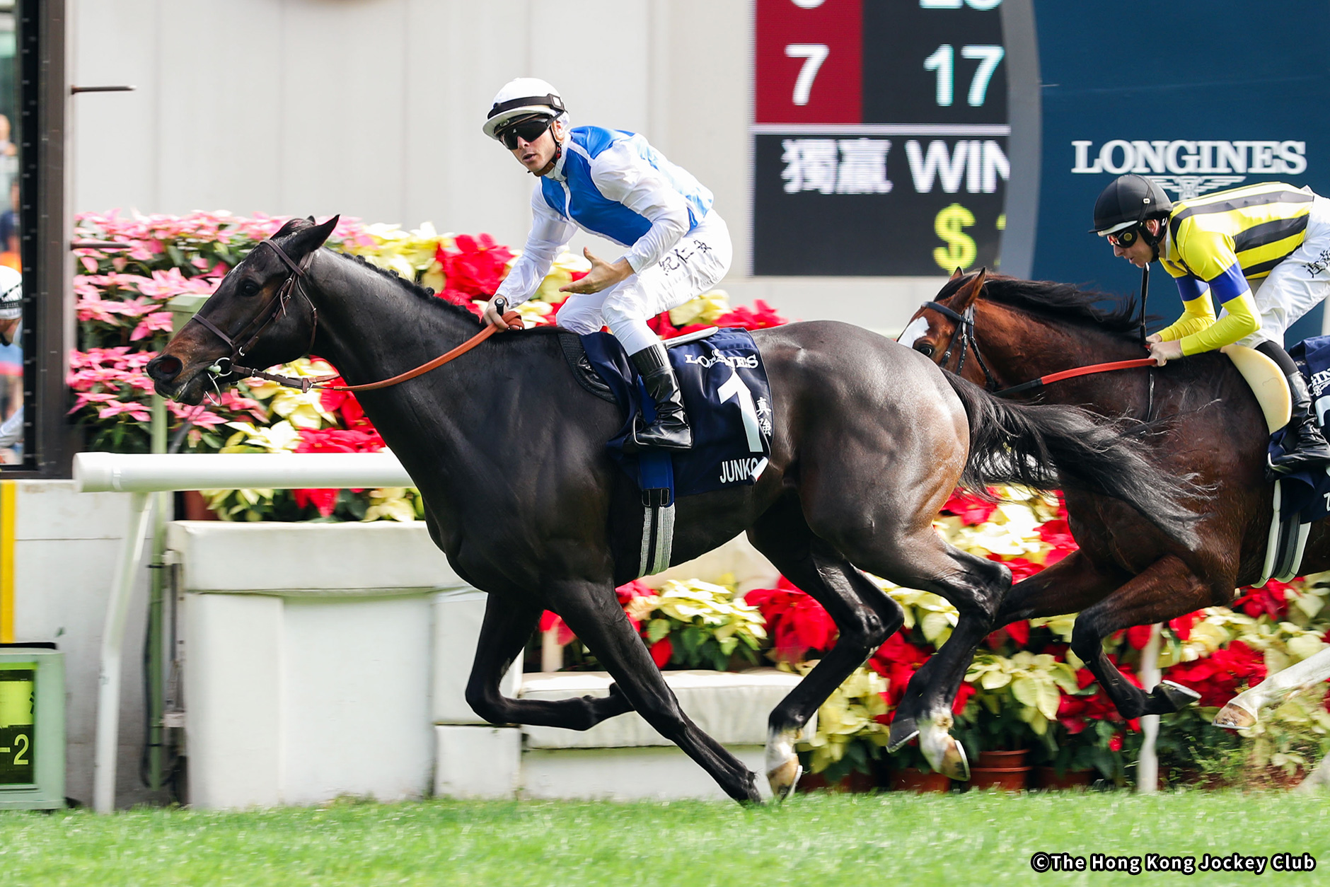 中央競馬 2015年～2019年 レースデータ Excelファイル アウトレット