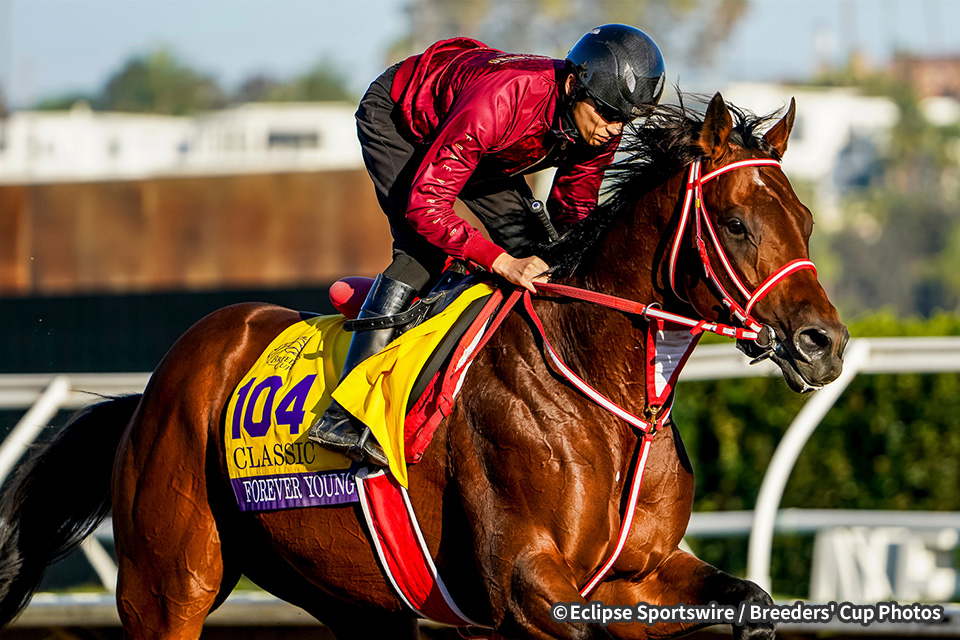 フォーエバーヤングの画像