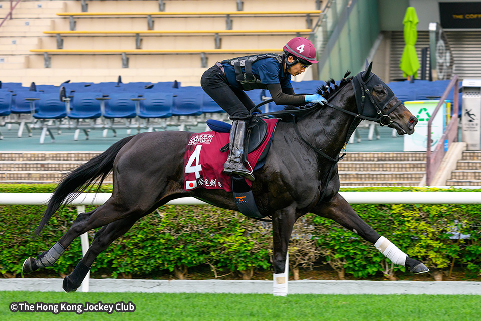 �G�C�V���t�F���T�[�̉摜