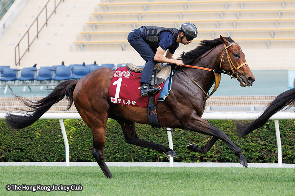 �T�g�m���[���̉摜