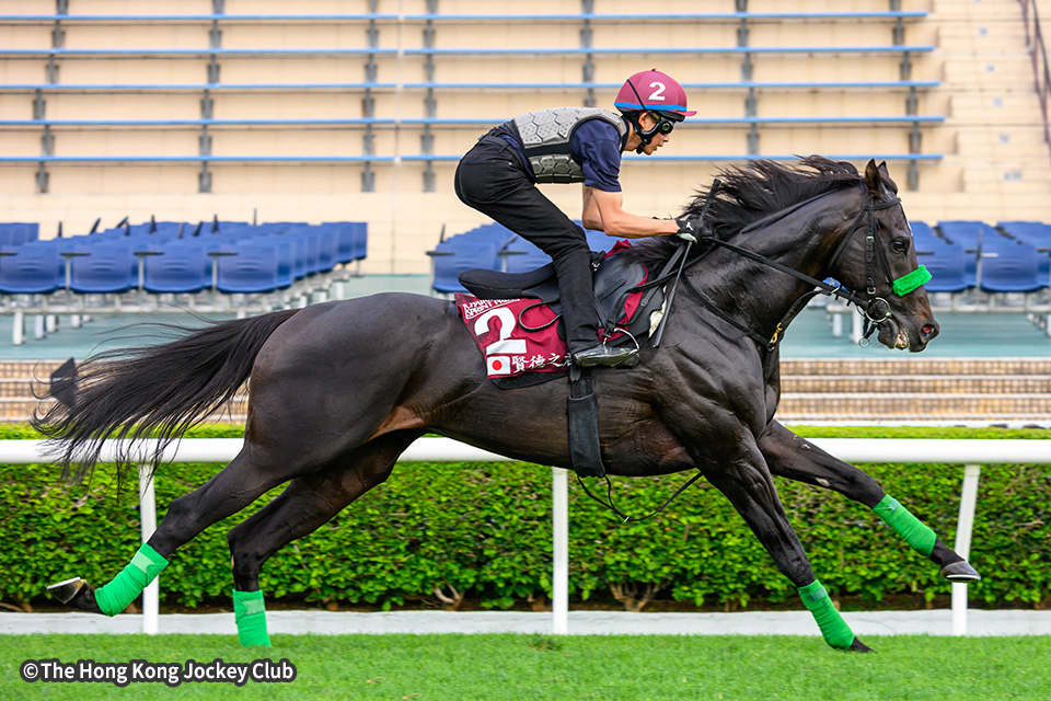 ���K���̉摜