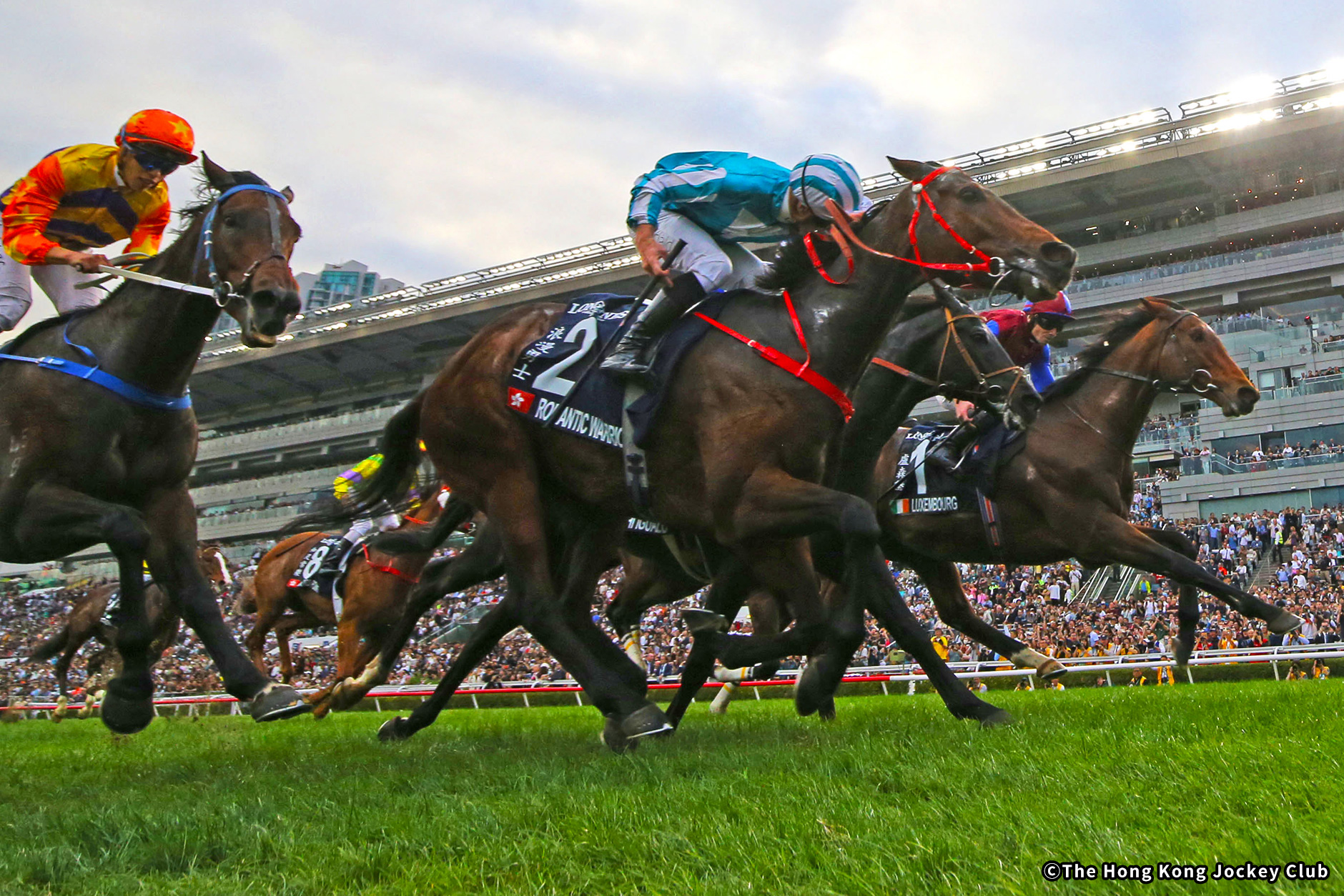 2023�N �D���n�F���}���`�b�N�E�H���A�[