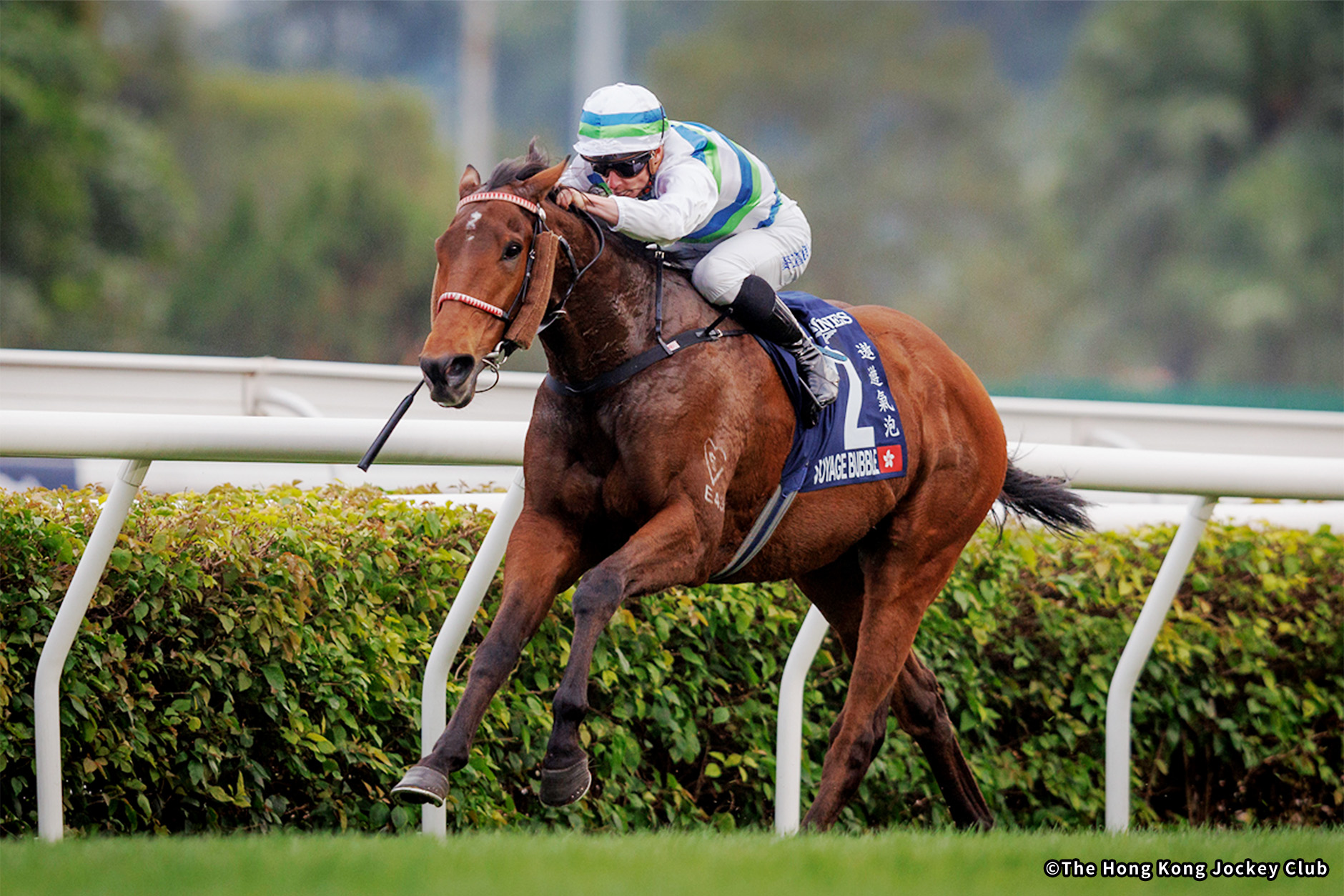 2024�N �D���n�F���H�C�b�W�o�u��