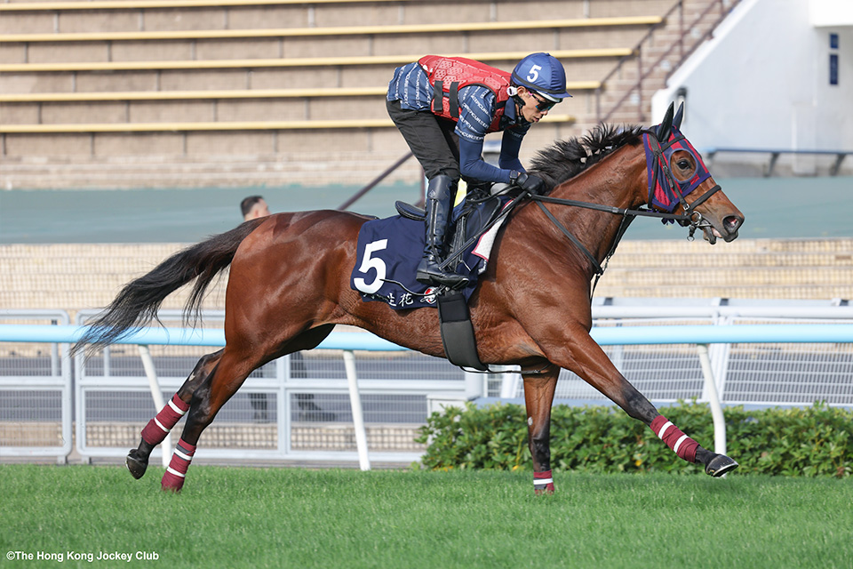 エンブロイダリーの画像